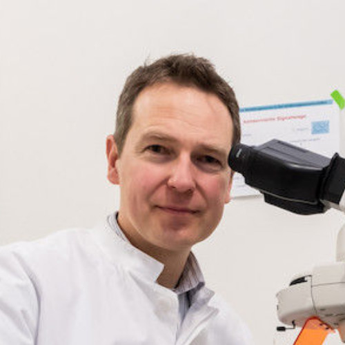 Committee member: Wim Wätjen